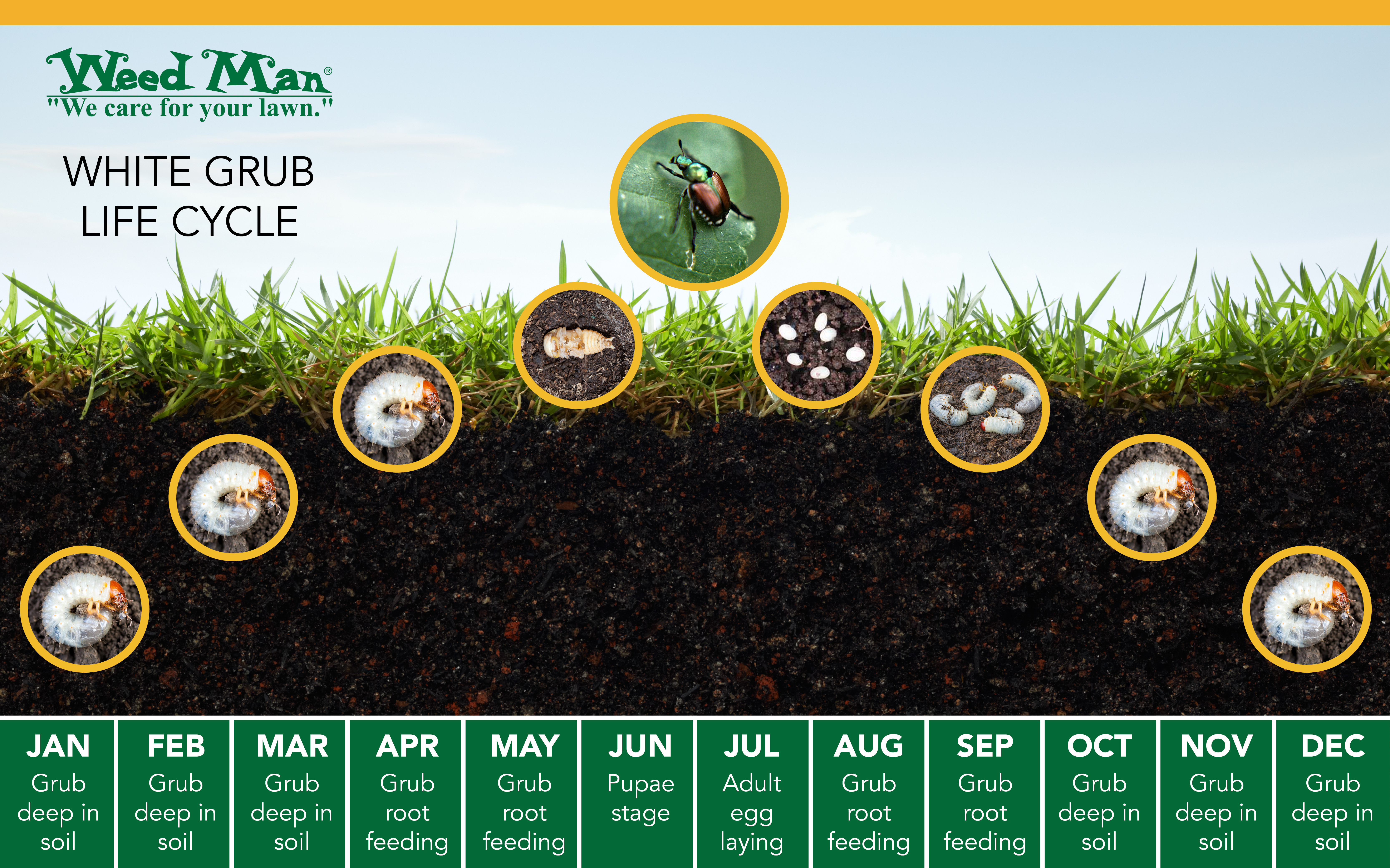 Grub Control
